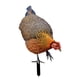 thumbnail image 4 of Figura decorativa de gallina para jardín, figura de animal, figura decorativa, arte de jardín realista Estilo C, 4 of 9