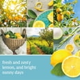 thumbnail image 2 of Yankee Candle Sicilian Lemon Original Large Scented Jar Candle, 22 oz, 2 of 3