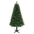 thumbnail image 2 of Holiday Time 6.5' Pre-Lit LED Paxton Pine Christmas Tree-Green, 2 of 9