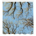 thumbnail image 3 of Ambesonne Nature Shower Curtain, Vibrant Sky with Trees, 69"Wx84"L, Blue Brown, 3 of 5