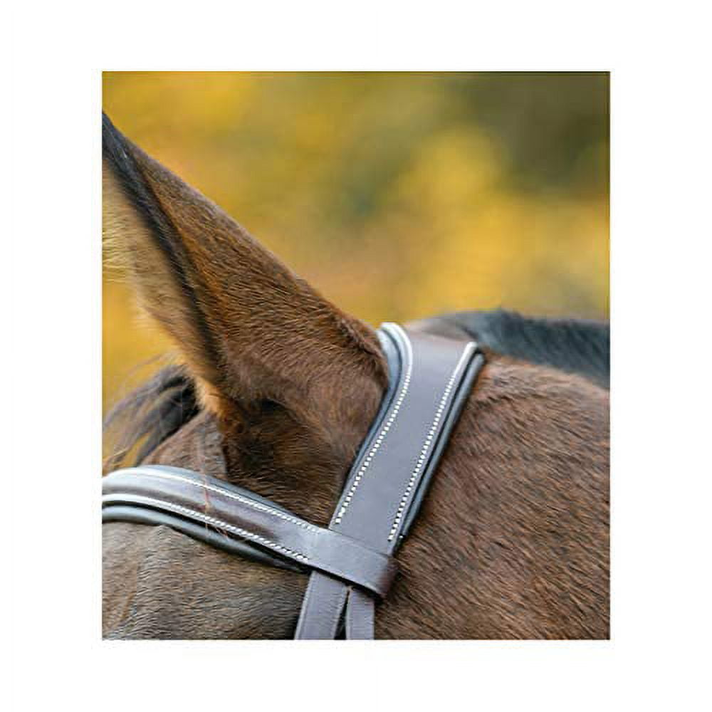 Shires Equestrian Avignon Nashville Bridle - Thumbnail 2