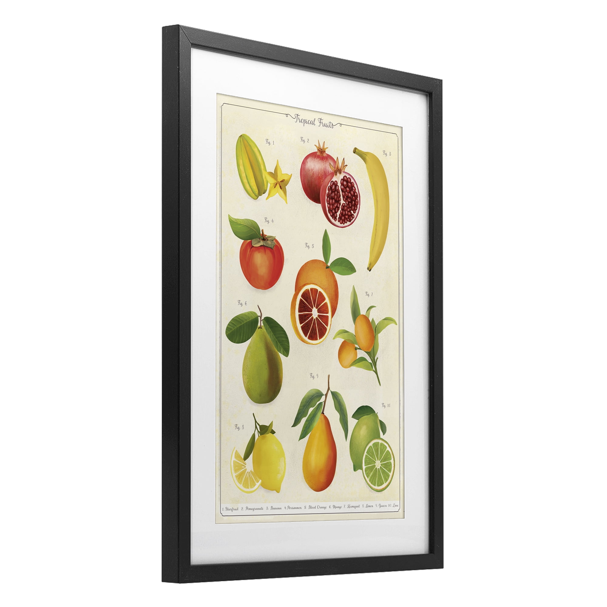 Stupell Industries Vintage Tropical Fruit Studies Black Framed Print Under Glass, design by Diane Neukirch