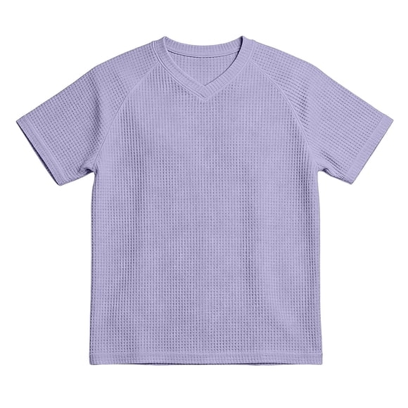 Men's T-Shirts Short Sleeve Crewneck Shirt Loose Fit Light Purple T Shirt Workout Shirts for Men