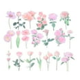 thumbnail image 1 of Calcomanías de flores de vinilo transparentes, calcomanías de flores claras de PET para álbum de recortes, rosa 40 hojas, 1 of 6