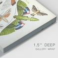 thumbnail image 3 of Antique Moths II Premium Gallery Wrapped Canvas - Ready to Hang, 3 of 9