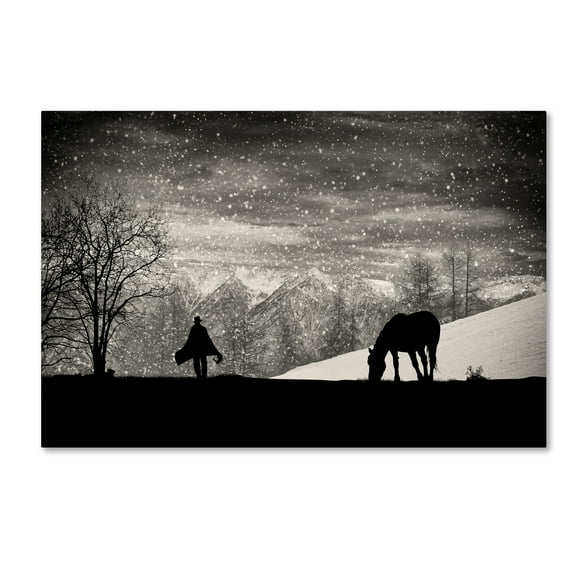 Its Time To Go' Canvas Art by Vito Guarino