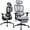 Gray, variant on Hforesty Home Office Chair with Retractable Footrest & 4D Armrests – Reclining Ergonomic Mesh Desk Chair for Work, Study or Nap, Black