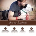 thumbnail image 4 of Holistic Select Natural Grain Free Dry Dog Food, Deboned Turkey & Lentils Recipe, 24-Pound Bag, 4 of 8