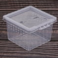 thumbnail image 3 of Tachiuwa 40x Insect Reptile Terrariums Breeding Box Hatching Containers, 3 of 9