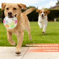 thumbnail image 2 of Gentle Dog Calming Ball - Anti-Stress Interactive Dog Toy with Handle, Suitable for Small, Medium & Large Dogs (White), 2 of 7