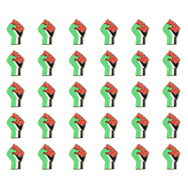 DQrwqpou Broches Banderas País Palestina Alfileres Solapa Metal Palestina para Hombres Y Mujeres (puño)