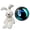 Green, variant on Homesteed Puppet Making Kit Accessories 3D Honeycomb Doll Eyes for Crochet Cat and Animal Puppets DIY Plush Crafts