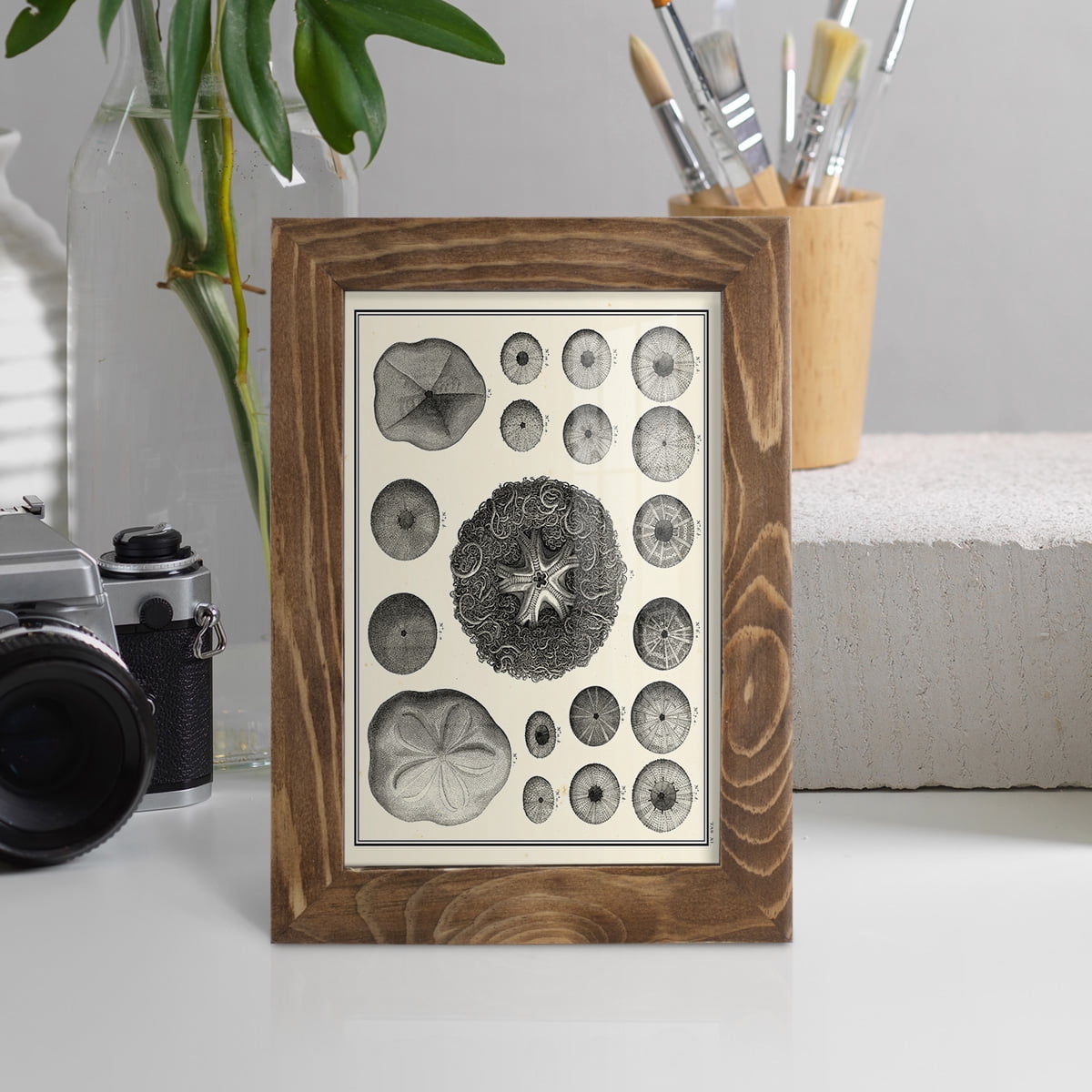Aegean Collection I -Framed Print w/glass-Walnut