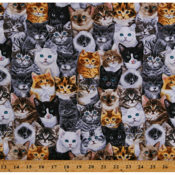 Cotton Faces Pets Furry Friends Felines Kittens Allover Animals Cotton Fabric Print by the Yard - Walmart.com