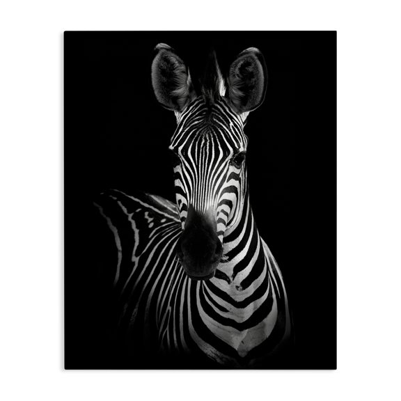 Stupell Industries Traditional Striking Greyscale Monochrome Zebra Photography Portrait Canvas Art, 30 x 40, by Incado