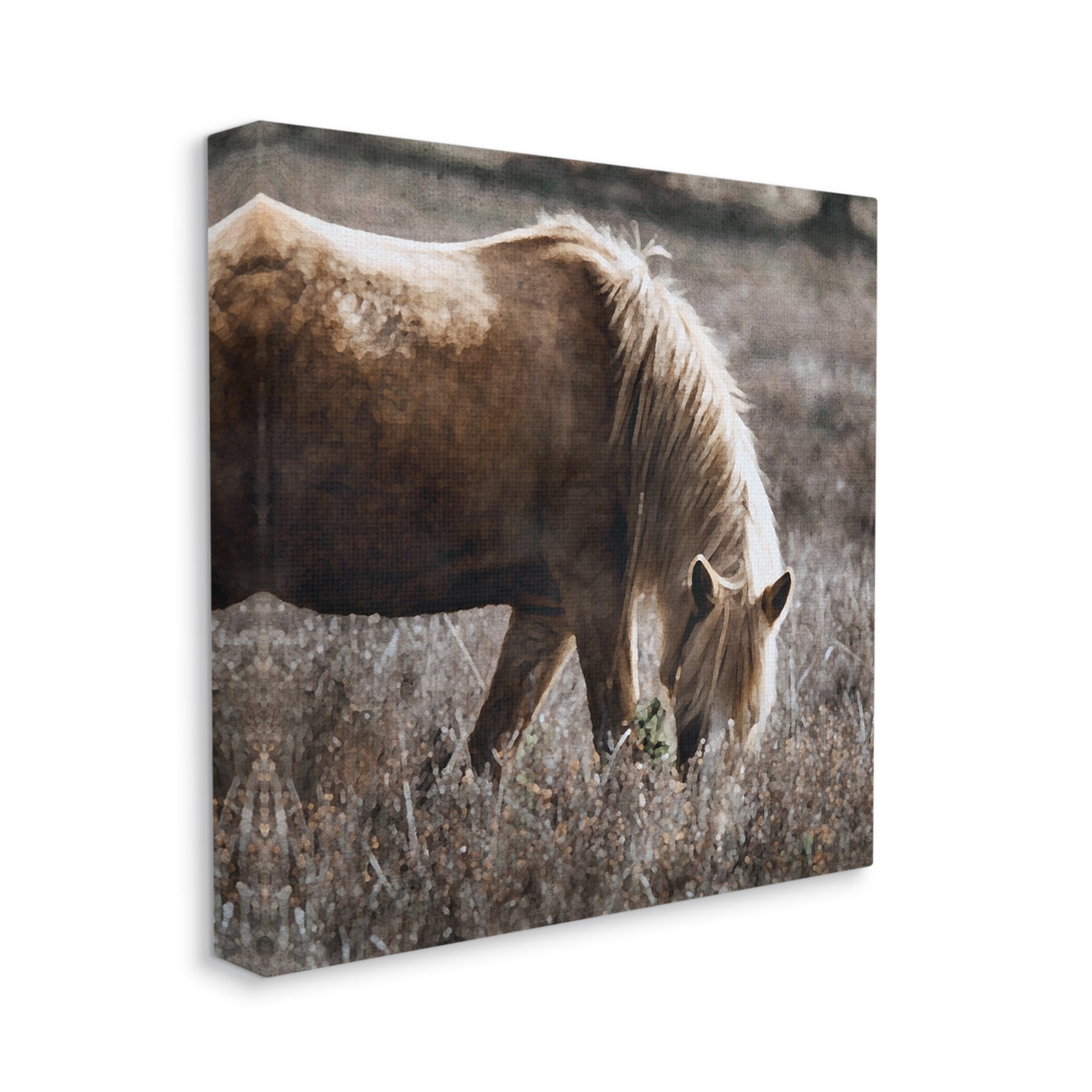Stupell Industries Wild Horse Grazing Animals & Insects Painting Gallery Wrapped Canvas Print Wall Art, 36 x 36