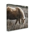 thumbnail image 4 of Stupell Industries Wild Horse Grazing Animals & Insects Painting Gallery Wrapped Canvas Print Wall Art, 36 x 36, 4 of 8
