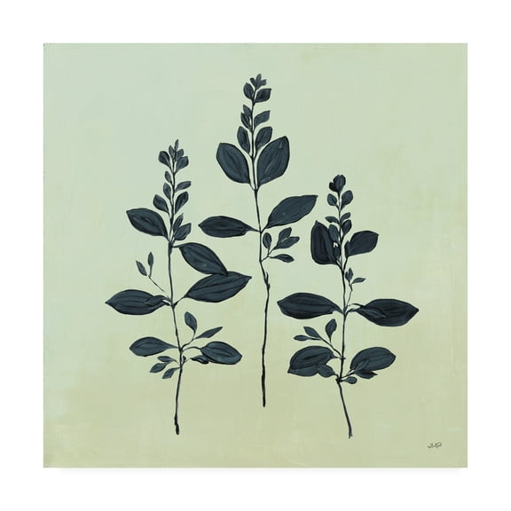 Trademark Fine Art 'Botanical Study IV Sage' Canvas Art by Julia Purinton