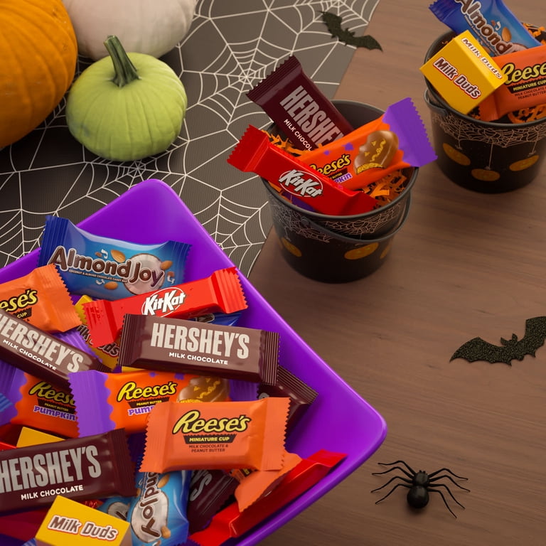 Hershey's, Assorted Chocolate, Halloween Candy Variety Bag, 23.05