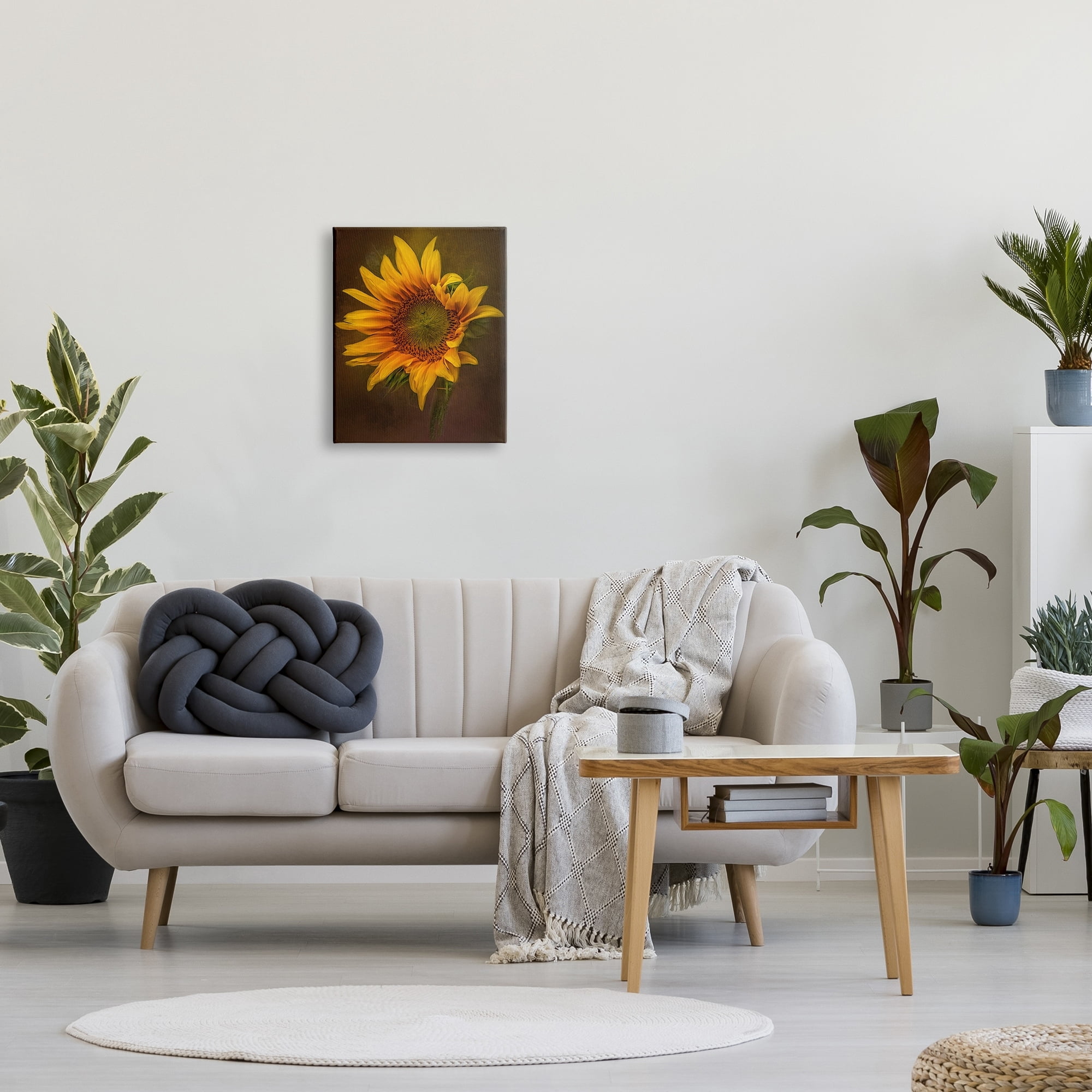 Stupell Industries Modern Detailed Sunflower Petals Botanical & Floral Painting Gallery Wrapped Canvas Print Wall Art