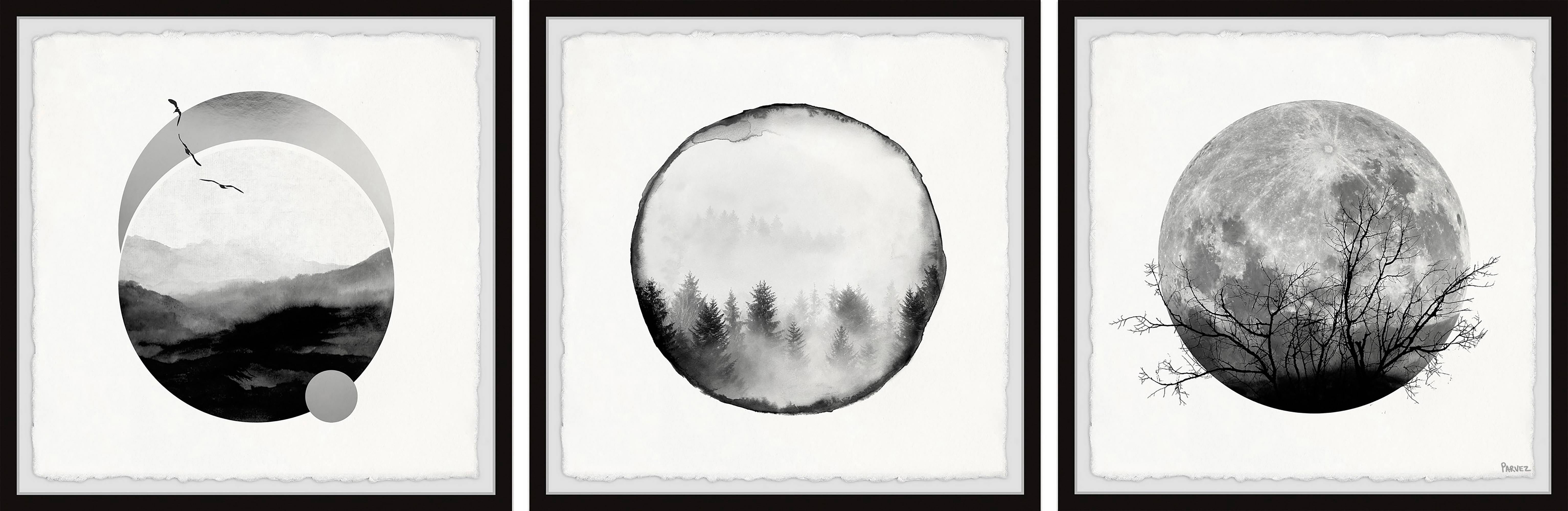 Parvez Taj Forest Moon Triptych