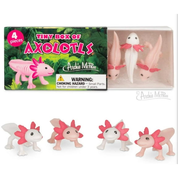 Tiny Box of Axolotls - 4 Piece Box