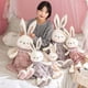 thumbnail image 2 of 2023 Cartoon / Cute / Soft / Rabbit Plush Toys / Long Ear Squint Plaid Skirt Rabbit Doll / Children's Birthday GiftWhite50cm Deng Xun unisex, 2 of 2