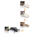 thumbnail image 3 of life Cycle Figurines Toy Educational Realistic for Party Favors Teaching Aids Project Ants, 3 of 9