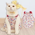 thumbnail image 2 of Dress Up Dog Dress 3Pcs/Set Suspenders, Elastic Shoulder Straps, Bowknot Hair Pin - Summer Floral Print Sleeveless Kitty Dog Dress Clothes - Pet Supplies, 2 of 8