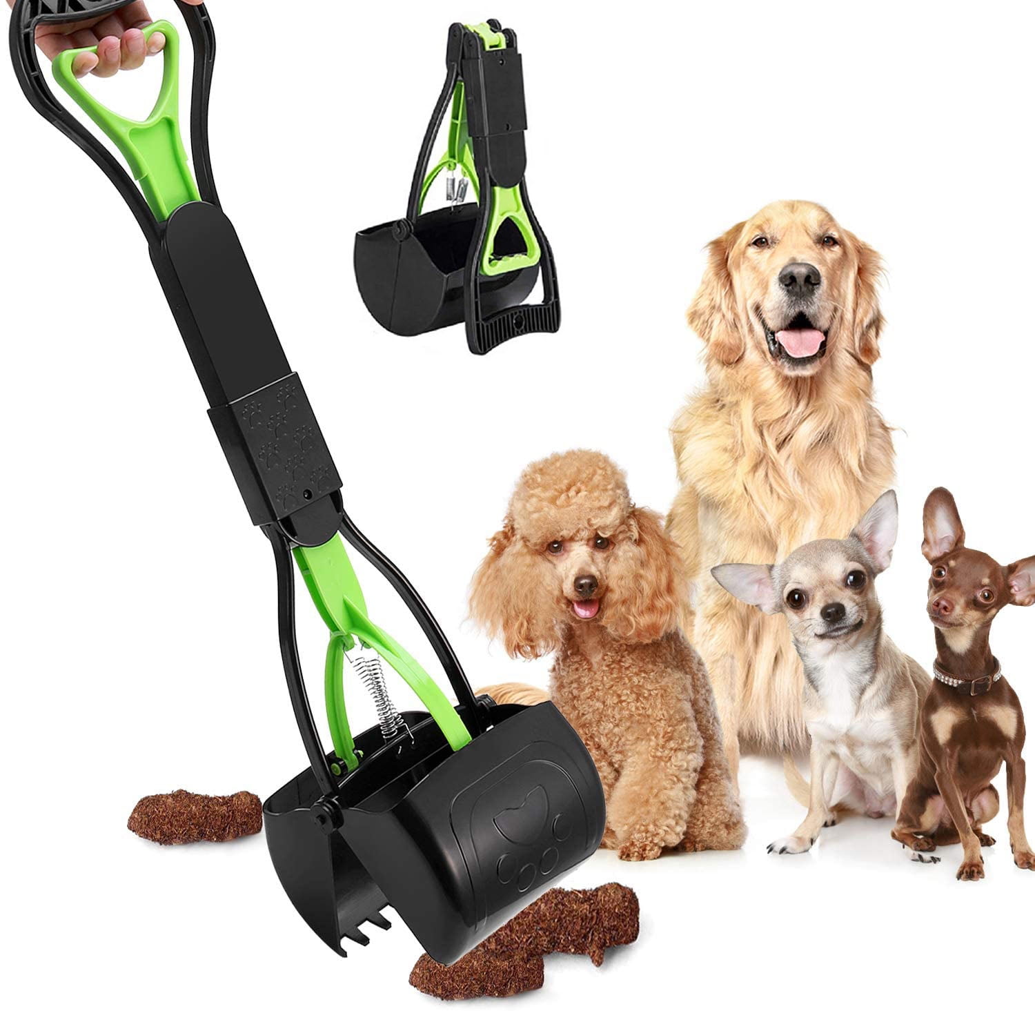 Should You Wash Your Hands After Picking Up Dog Poop