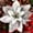 silver, variant on RECUTMS 10 Pcs Christmas Glitter Artificial Poinsettia Flowers 6inch Christmas Wreath Christmas Tree Flowers Ornaments Holiday Seasonal Decorations (Gold, 6inch)