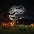 thumbnail image 3 of 12 Piezas de Pegatinas de Murciélagos, Pegatinas de Murciélagos, Pegatinas de Murciélagos, Pegatinas de Murciélagos, Pegatinas de Halloween, para Suministros de Fiesta de Halloween, 3 of 5
