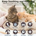 thumbnail image 3 of VALLARY PET CARE - Behavior and Calming Collar for Cats, 4Ct, Purple, Helps for 60 Days, Designed to Reduce Stress and Anxiety, 3 of 9