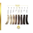 thumbnail image 2 of TINTE ALTERNATIVE CARE- color 6.0 RUBIO OSCURO contenido de 90g Alternative Care 6.0 RUBIO OSCURO, 2 of 5