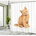 thumbnail image 4 of Ambesonne Cats Funny Shower Curtain, Sitting Red Kitten Print, 69"Wx70"L, Pale Orange Sand Brown, 4 of 4