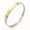 Gold, variant on Silver Color Ion Therapeutic Lympunclog Bracelet Titanium Wristband-Silver