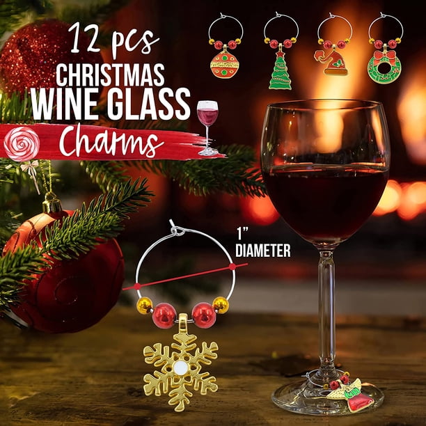 zieher wine glasses Zieher] Woven Hardshell 2pcs Case – VINOPIE main image 1