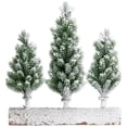 thumbnail image 5 of Northlight Frosted Pine Tree Trio Christmas Decoration - 8" - Unlit, 5 of 7