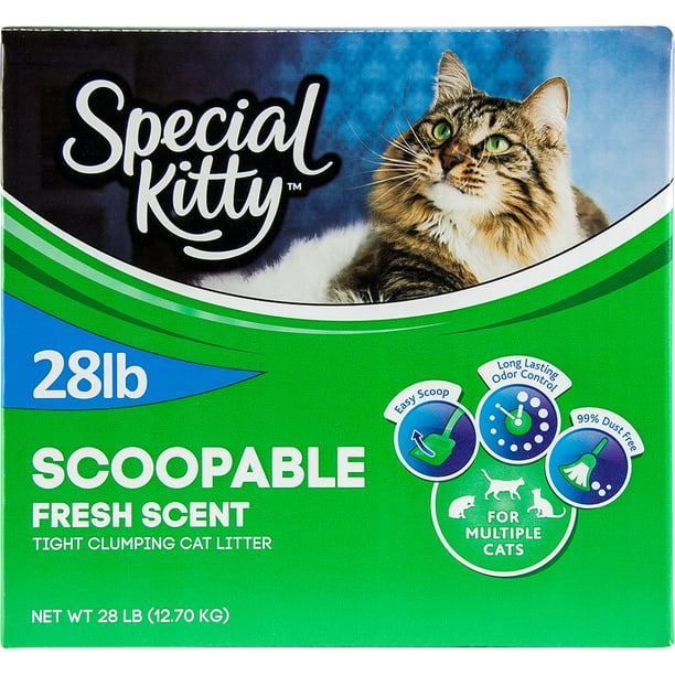 Special Kitty Scoopable Tight Clumping Cat Litter, Fresh Scent, 28 lb