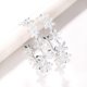 thumbnail image 2 of Hoop-shaped flower zircon earrings high-end dress net celebrity shiny earrings, 2 of 3