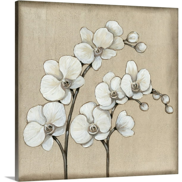 Great BIG Canvas "White Orchid II" Canvas Wall Art 30x30 Walmart