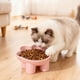 thumbnail image 4 of Herunwer Elevated Cat Bowls 15°Raised Cat Food Bowl with Silicone Mat Whisker Friendly Anti Vomiting Cats Dishes Pet Food and Water Bowls, 4 of 6