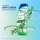 thumbnail image 2 of Shampoo Head & Shoulders Anti-Caída' Renovación Capilar con Romero 650 ml, 2 of 5