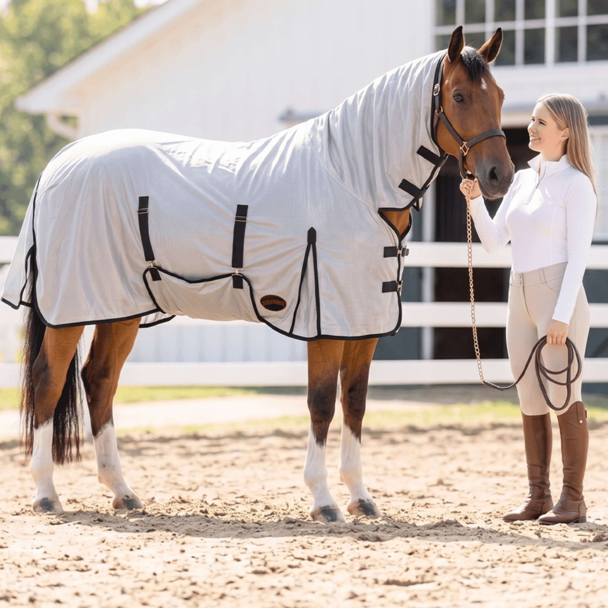 Resistance Horse Fly Sheet with Neck Cover and Belly Wrap, Mesh, UV Protection, Silver, Sizes 68 in–82 in