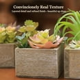thumbnail image 4 of Artificial Succulents Indoor, Set of 3 Mini Potted Greenery in Rustic Wood Planters, Tabletop Accent for Office, Bathroom Shelf, No Watering, 4 of 9