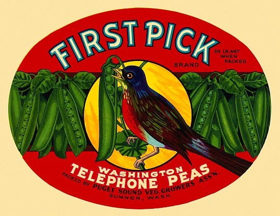 Washington Telephon