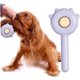 thumbnail image 4 of Cepillo de aseo para gatos, cepillos de autolimpieza para perros y gatos, cepillo de cuidado de mascotas, cepillo de cuidado de mascotas, cepillo de cuidado de mascotas limpi, 4 of 4
