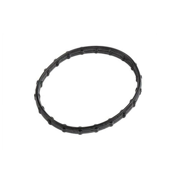 Engine Oil Filter Adapter Seal