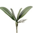 thumbnail image 1 of LCXmlly Fake Plant Home Decor Elegance: Simulation Phalaenopsis Orchid Leaves, 1 of 6