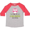 thumbnail image 3 of Inktastic Owl Be a Big Sister in 2026 Girls Toddler T-Shirt, 3 of 5